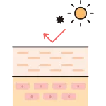 Cross Section Of Skin Healthy Skin SVG Icon